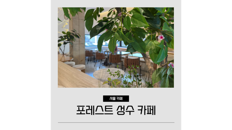  서울숲 놀거리 성수동데이트코스로 제격 ㅣ 포레스트 성수디저트카페 케이크 맛집