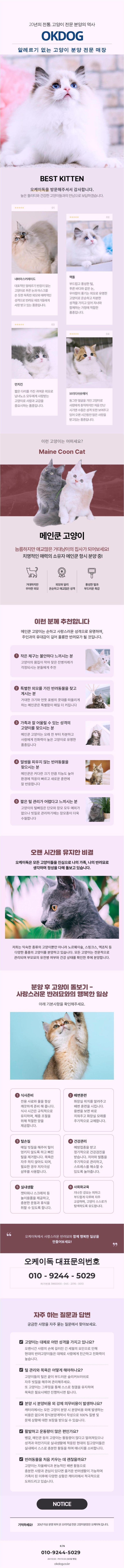 브리티쉬숏헤어 분양가 브리티쉬숏헤어 분양 가격 결정 요인 심층 분석
