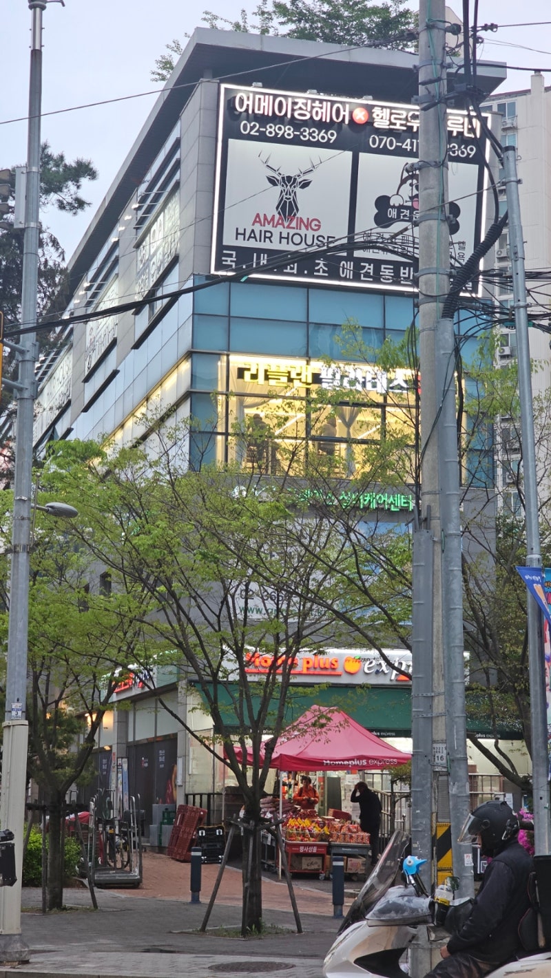 사진 4