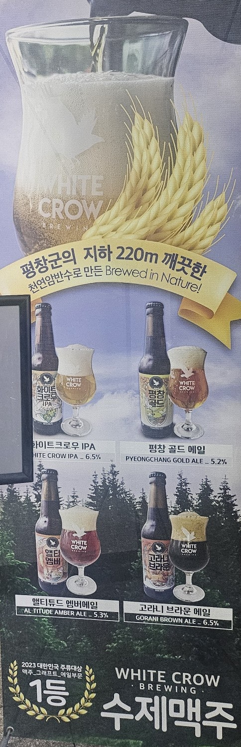 카츠올 사진 5