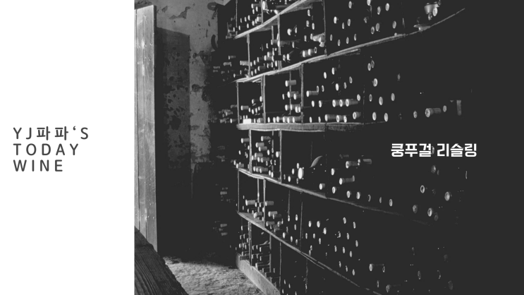  <코스트코와인>가성비 화이트와인 '쿵푸걸 리슬링' 마셔본 솔직후기