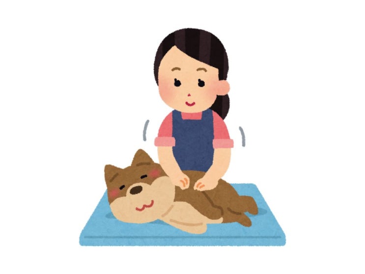  강아지 슬개골 탈구 마사지 3개월 후기. 과연 효과 있을까?