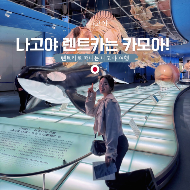  일본 나고야 렌트카 여행 카모아 쿠폰 이용 후기