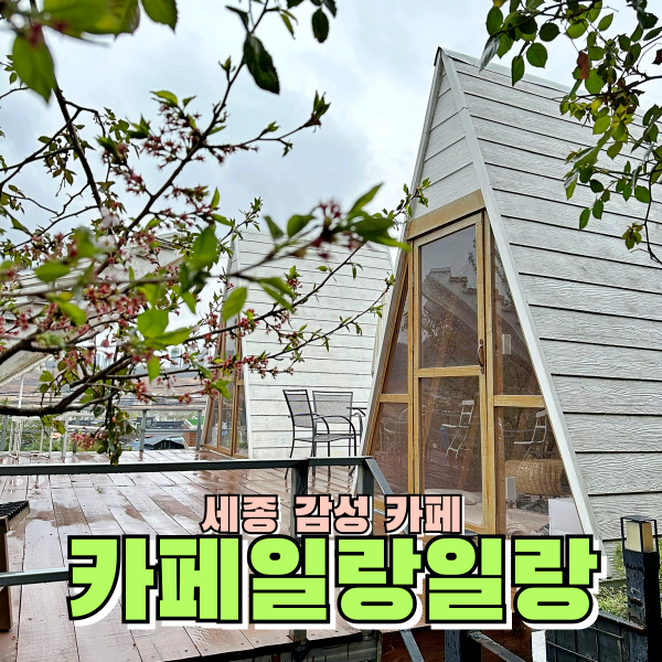  세종여행 방갈로가 너무 예쁜 세종예쁜카페 카페일랑일랑