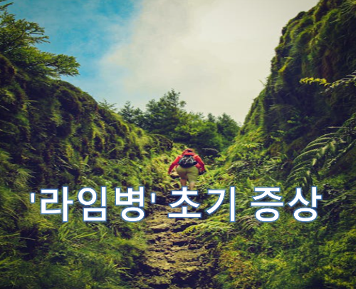  제2의 에이즈라 불리고 있는 라임병 유래 초기 증상