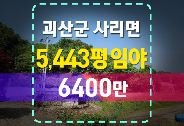 괴산군 사리면 임야 토지 경매 땅 시세 및 물건 분석