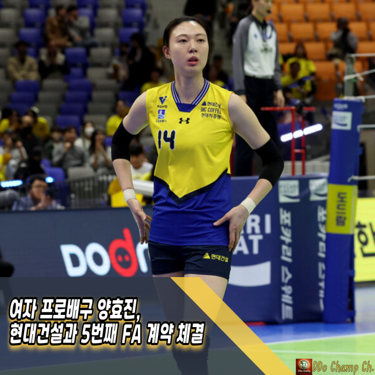 여자 프로배구 <b>양효진</b>,<b>현대건설</b>과 5번째 <b>FA</b> 계약 체결