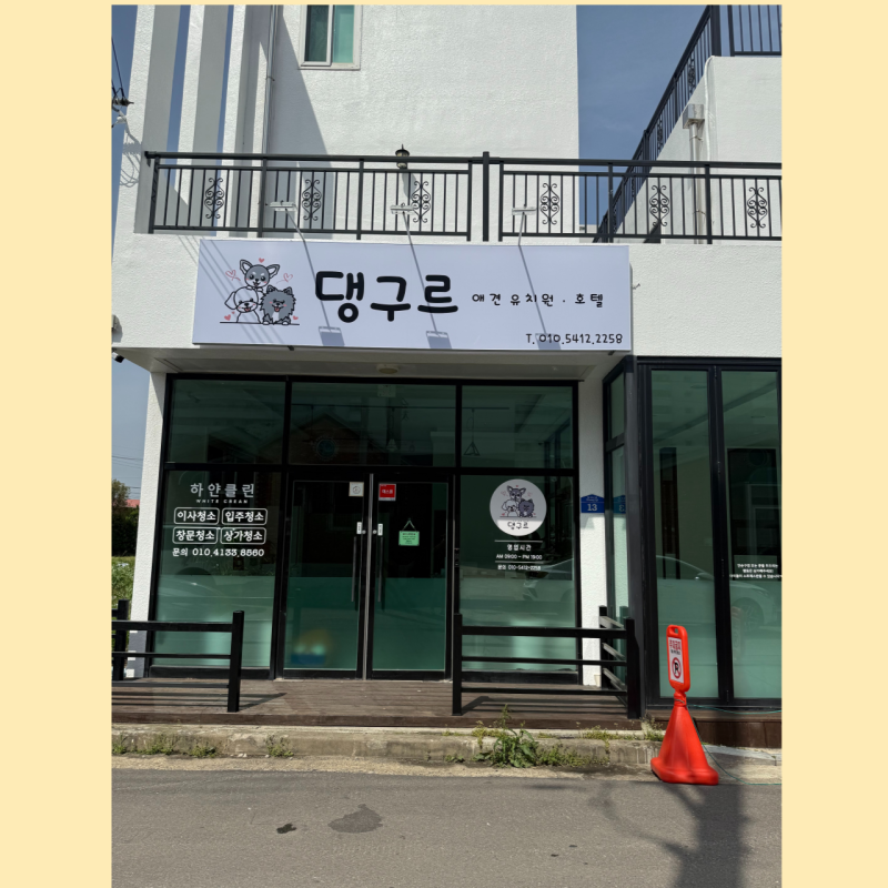 사진 10