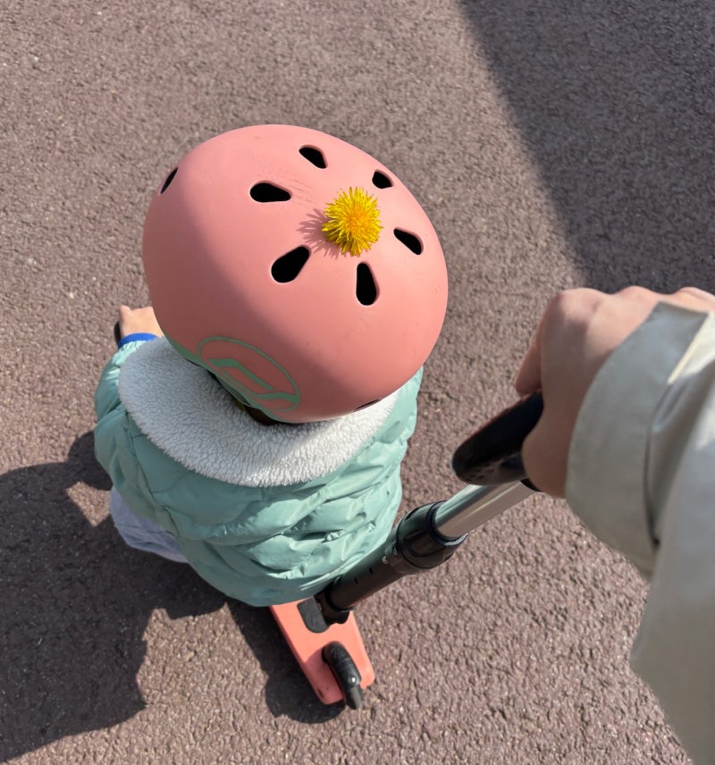 노을공원