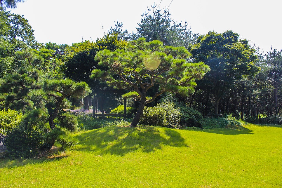 신죽리수목원 사진 5