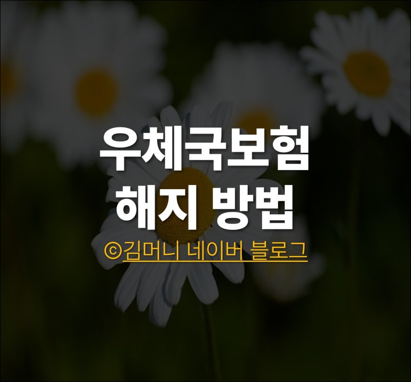 우체국보험 해지 방법 & 고객센터 완벽정리
