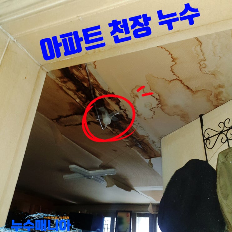  아파트 천장 누수 윗집 물 샐 때 검사 방법