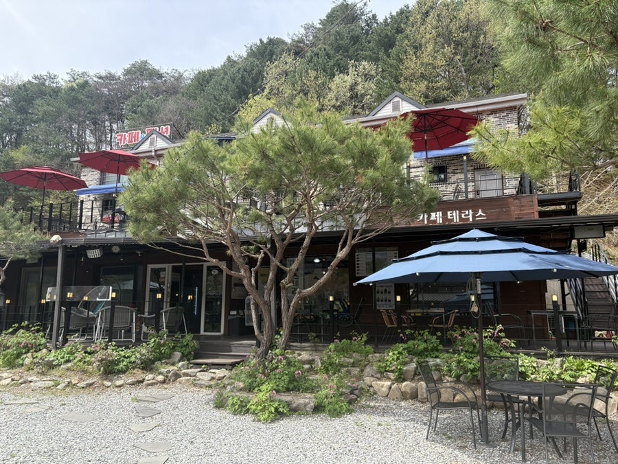 테라스카페&펜션 사진 4