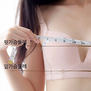 (초간단) 여자 속옷 브라 컵 사이즈 재는법&브라자 사이즈표