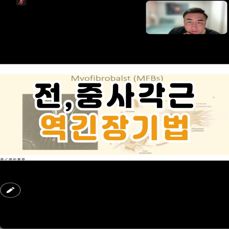  사직동PT 홍정기 교수님 사각근 통증 케어 교육 후기