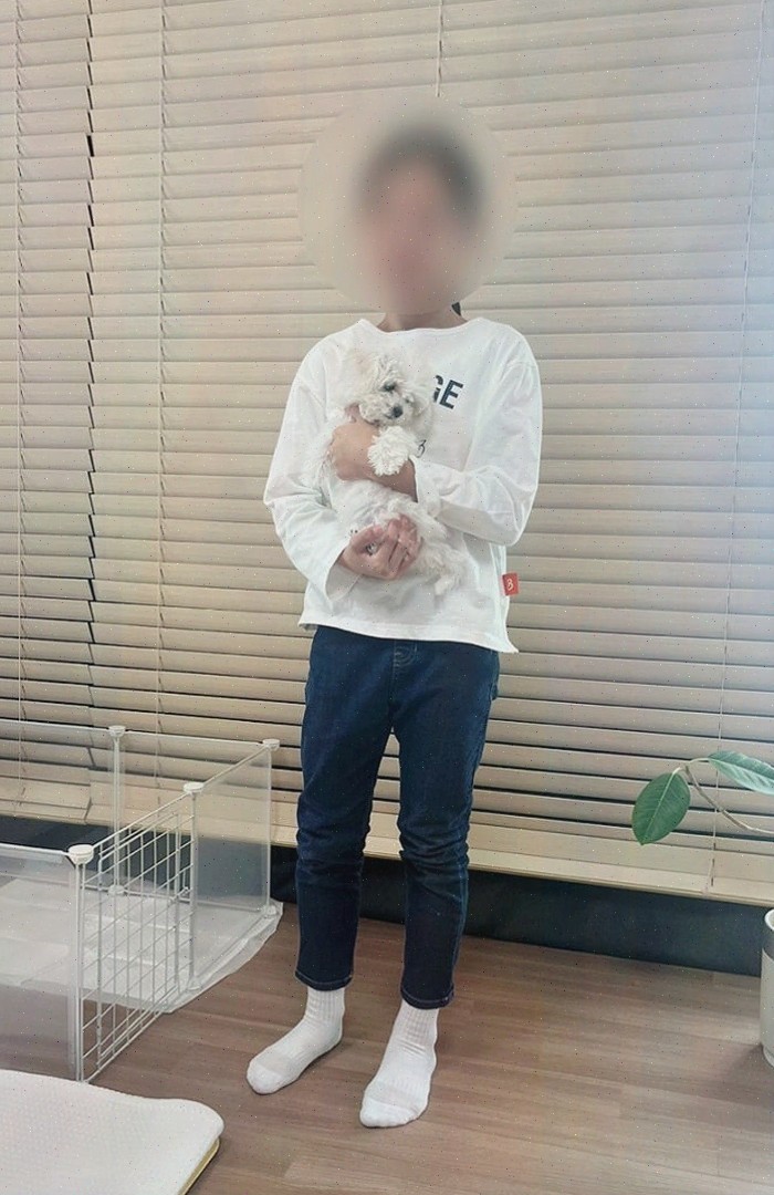  신혼집에 완벽한 가족을 찾고 있다면? 부천강아지분양 전문 마리켄넬