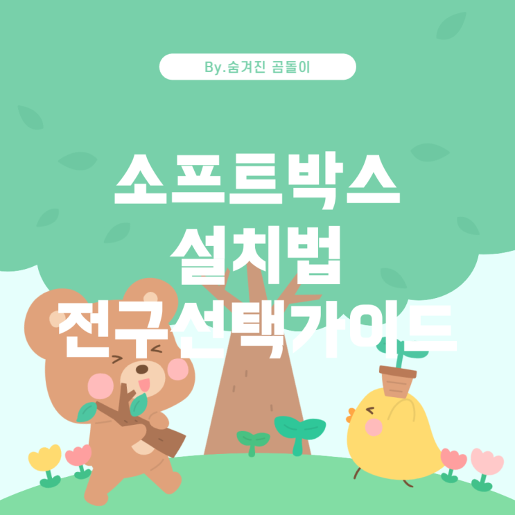  소프트박스 설치법과 전구 선택 가이드