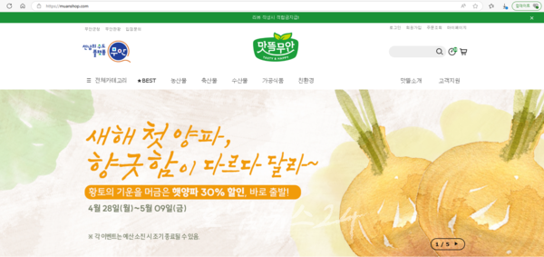  ‘맛뜰무안몰’, 햇양파 출하 시기 맞아 할인전 시작…다양한 기획전 연이어 진행