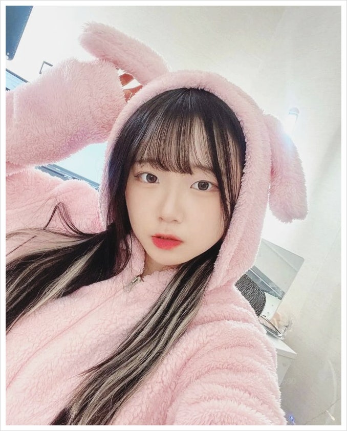  유튜버 진자림 1년 만의 복귀 선언 상도덕 논란후 반성의 메시지 전했다
