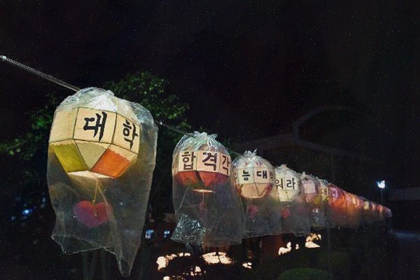  직장 고민, 보타점의 타로 직장운으로 해결해보세요!