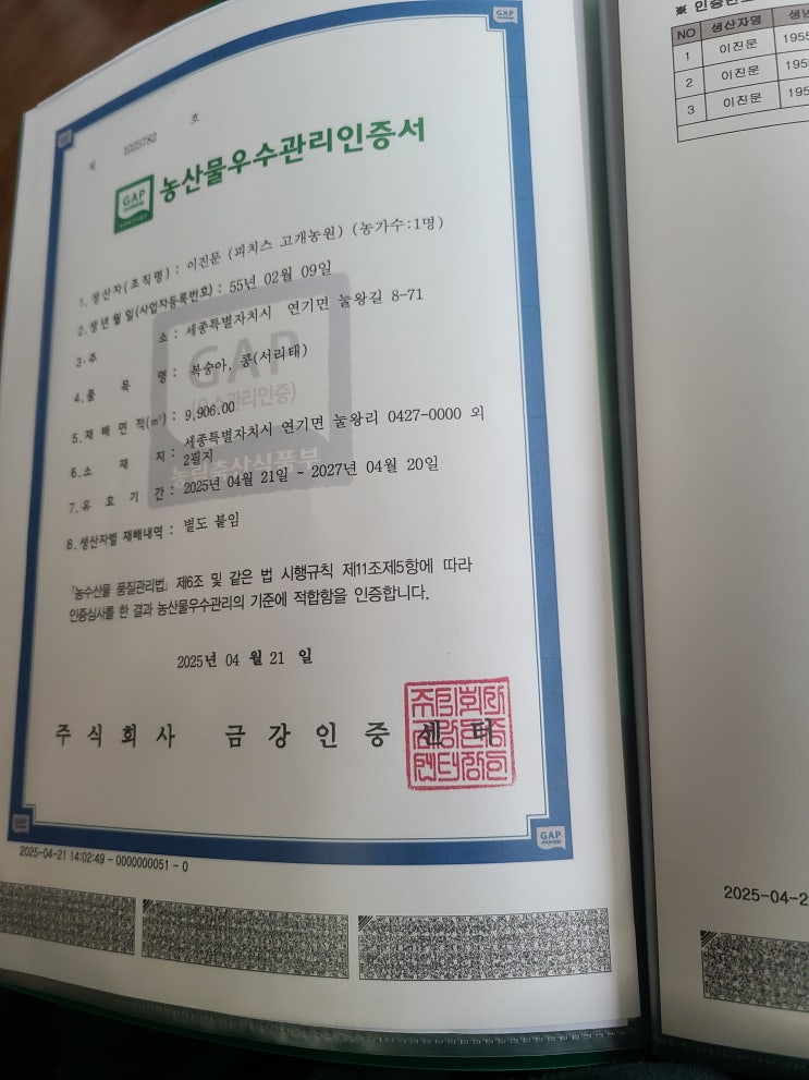  농산물 우수관리 인증서 GAP [세종 조치원 복숭아 과수원 - 고개 농원]