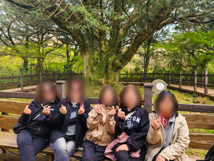 제주승합차투어 기사님 <b>동행</b> 제주도 차없이 여행