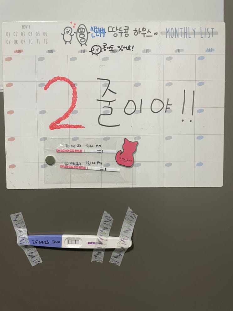 임신4주차｜남편에게 임밍아웃! 임테기 두 줄 확인 후 병원 가는 타이밍