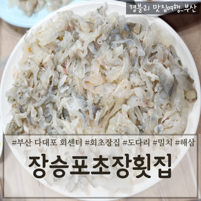  부산 다대포횟집 다대활어재래시장 회포장 초장집 후기 (Feat. 회초장식당 장승포횟집)