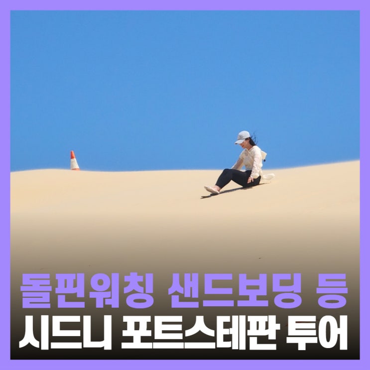  시드니 여행 포트스테판 투어 돌고래 워칭 오크베일 동물원