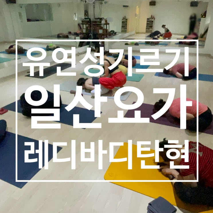  일산 요가 추천 | 레디바디 탄현점 GX 요가로 유연성 키우기