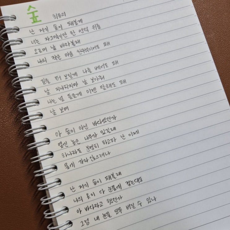  예쁜 노래 가사 필사하기8 ㅣ 필사 글귀 추천