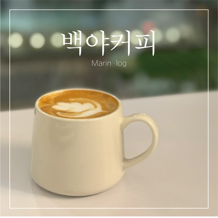  강릉 대형 베이커리카페 백야커피 내돈내산 (강릉 카페추천, 주차, 노키즈존 안내)