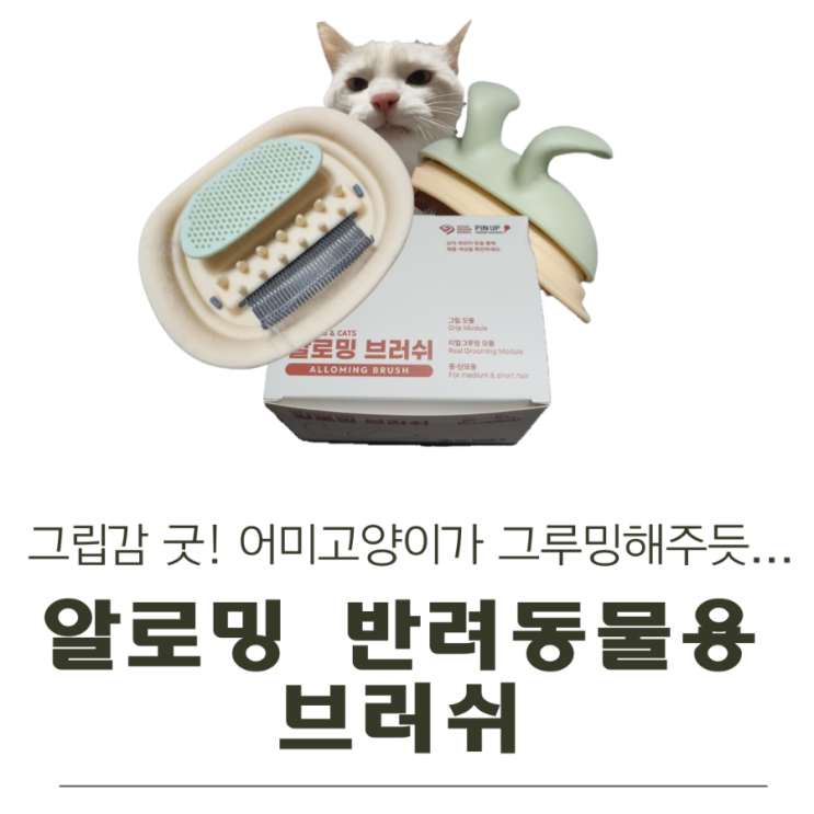  핥아주는 느낌 그대로! ‘알로밍 리얼그루밍 브러시’ 써본 리얼 후기