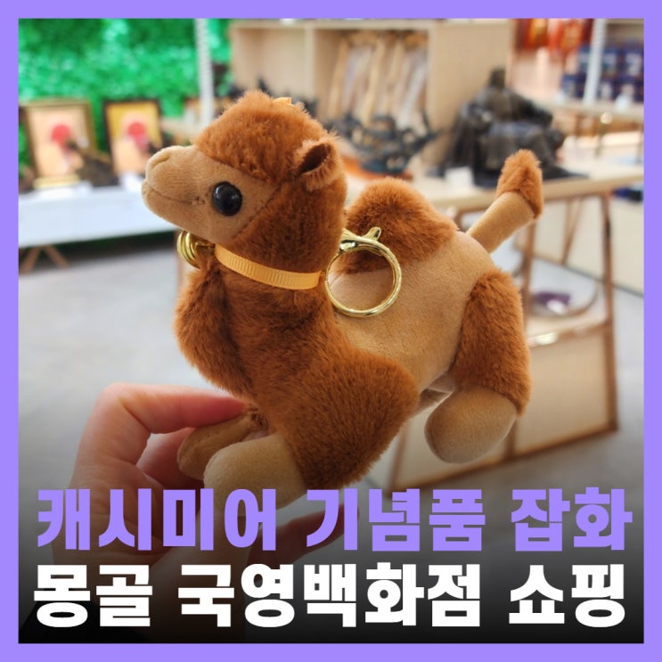  몽골 울란바토르 쇼핑 여행 국영백화점 기념품 캐시미어
