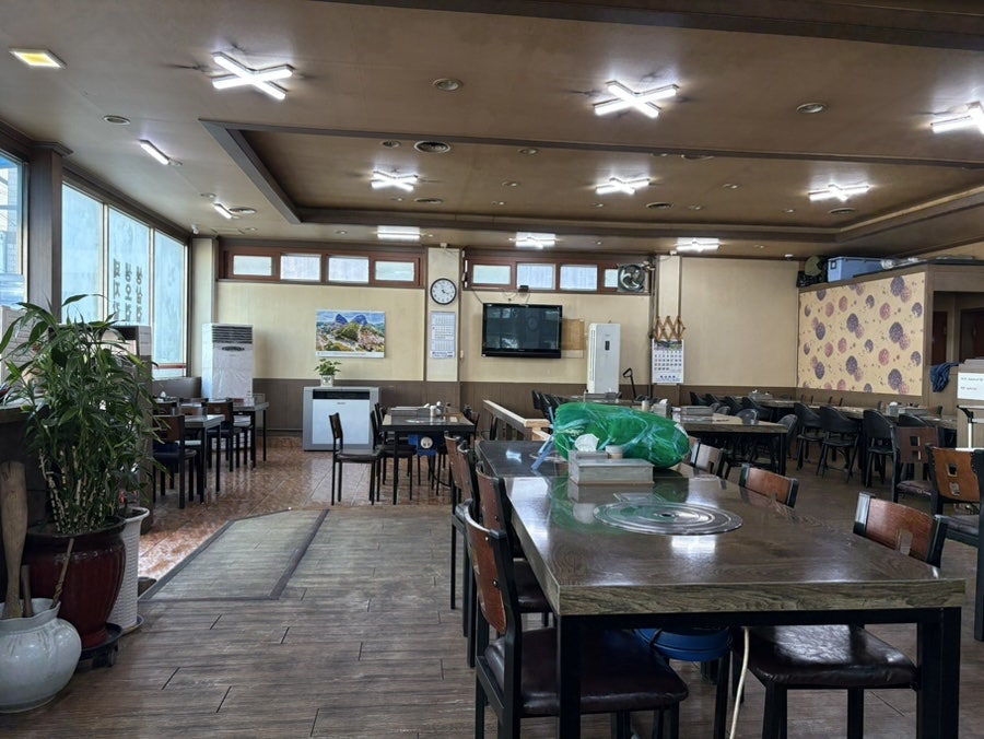 놀보 사진 1
