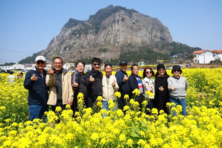  제주도풀패키지여행 노쇼핑으로 맞춤형으로 단독으로 카메라사진촬영은 보너스로