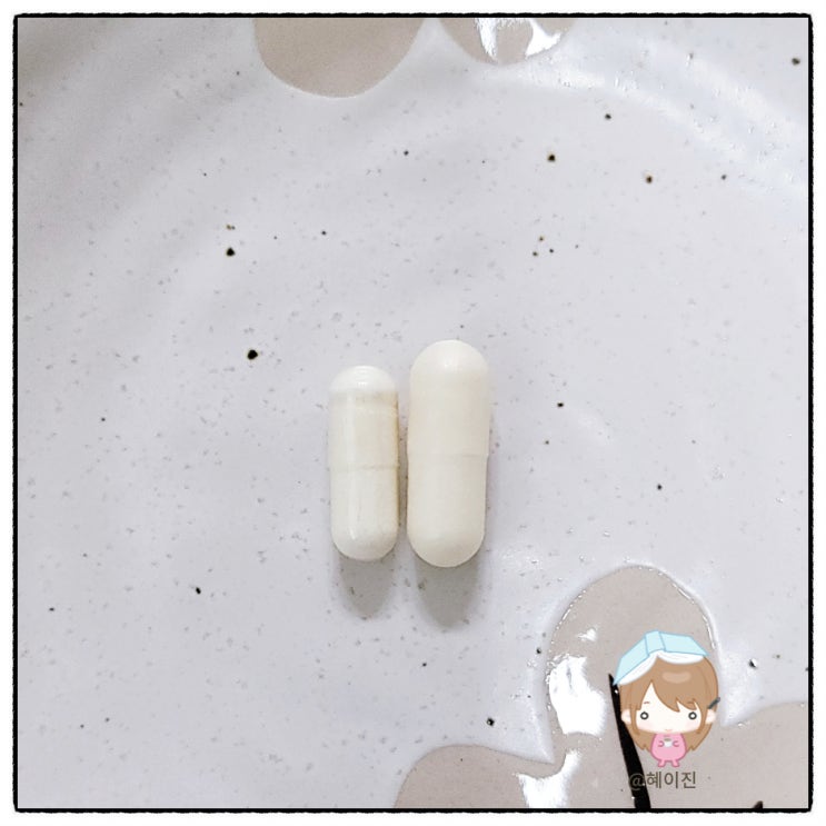  나이에 따라 먹어야 할 유산균이 다르다고? 헬시오리진스 유산균 300억 vs 자로우 유산균 100억 비교 내돈내산