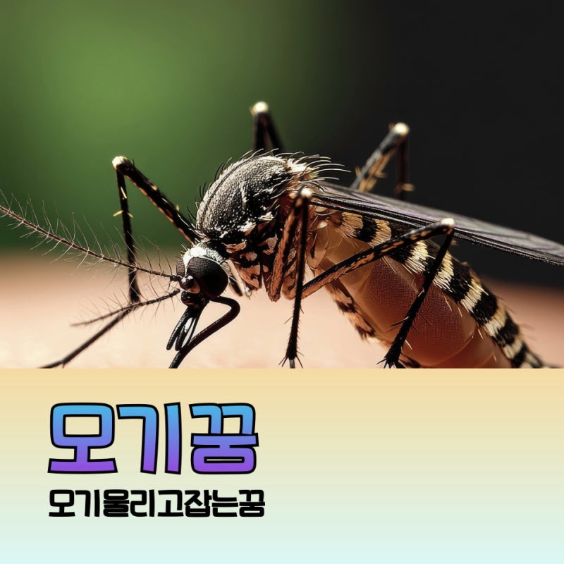모기꿈 상황에 따라 모기물리고 잡는꿈 다양한 해몽