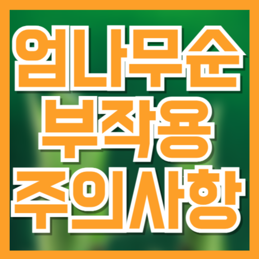  엄나무순 섭취 시 주의할 부작용과 안전한 섭취 방법!