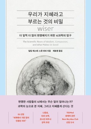  독후감: 우리가 지혜라고 부르는 것의 비밀