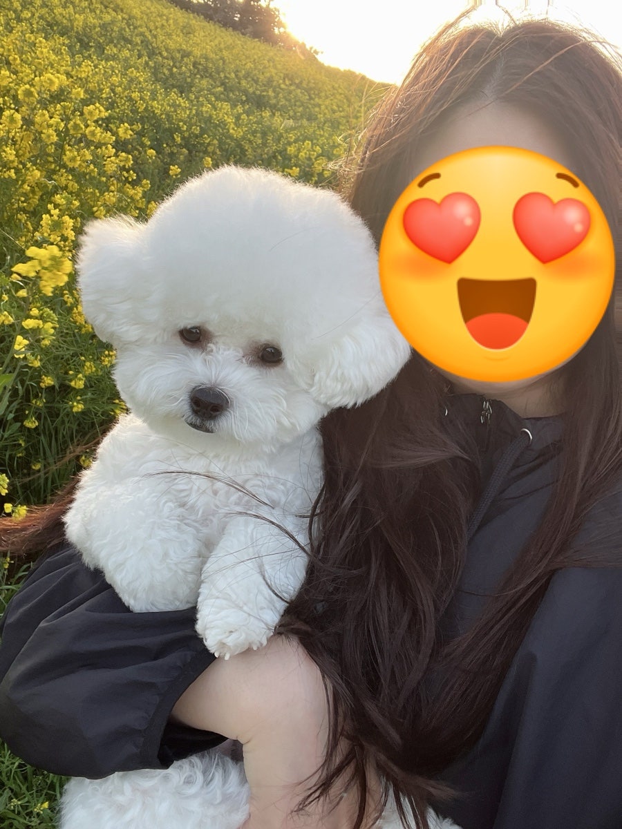 오브헤어 사진 6