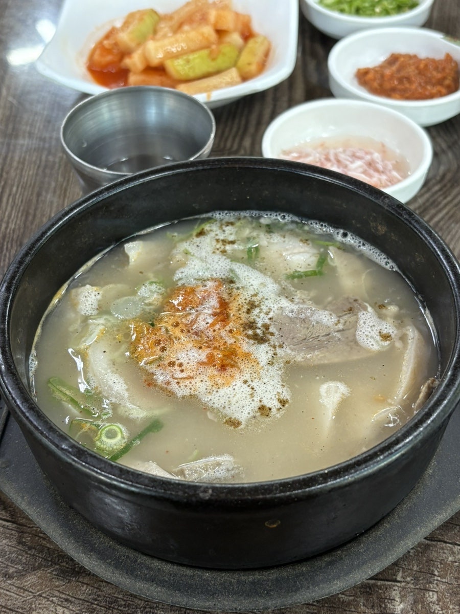 놀보 사진 6