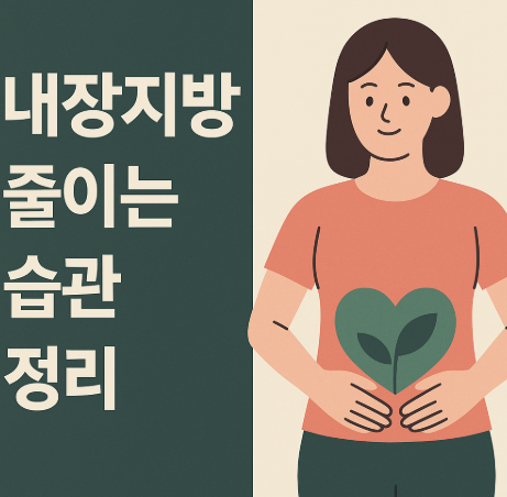  내장지방 줄이는 습관 정리