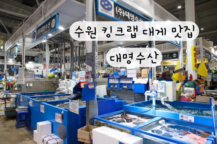  [경기도 수원] 킹크랩 대게 꽃게 해산물 맛집 수원킹크랩 대명수산
