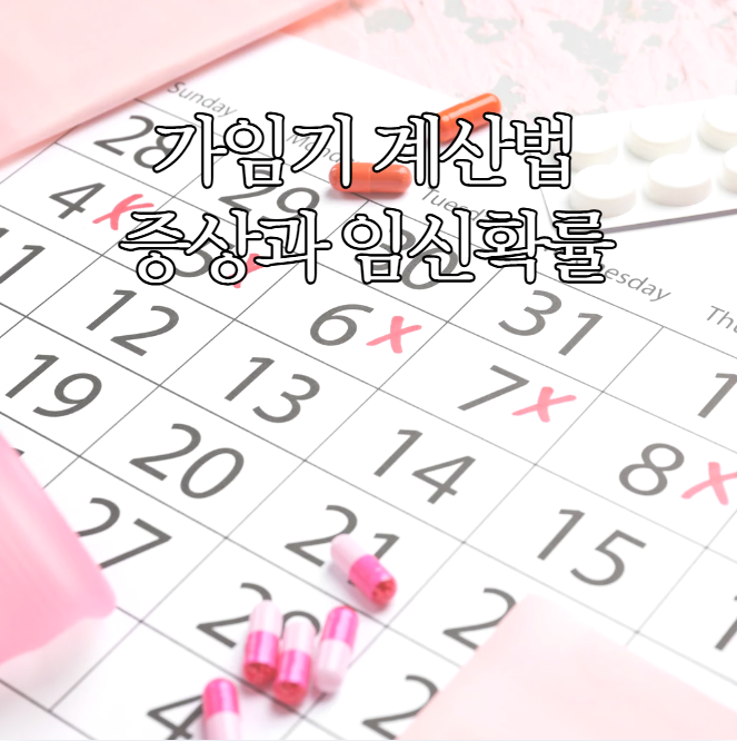  가임기 증상 계산법 임신확률은?