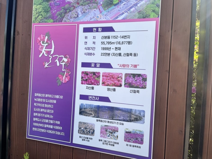  [경기/군포] 군포 산본 구경할곳 데이트 장소 축제 명소 철쭉 축제