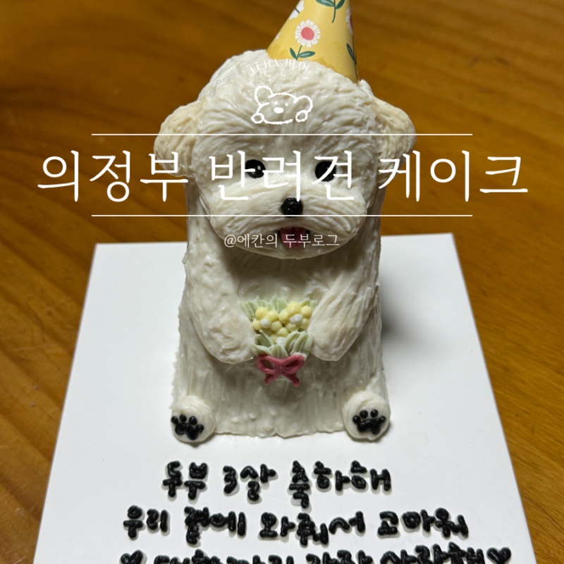 사진 3
