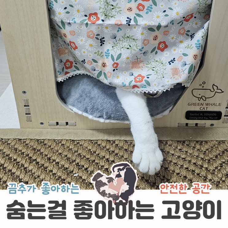  고양이는 왜 커튼 뒤나 박스를 좋아할까