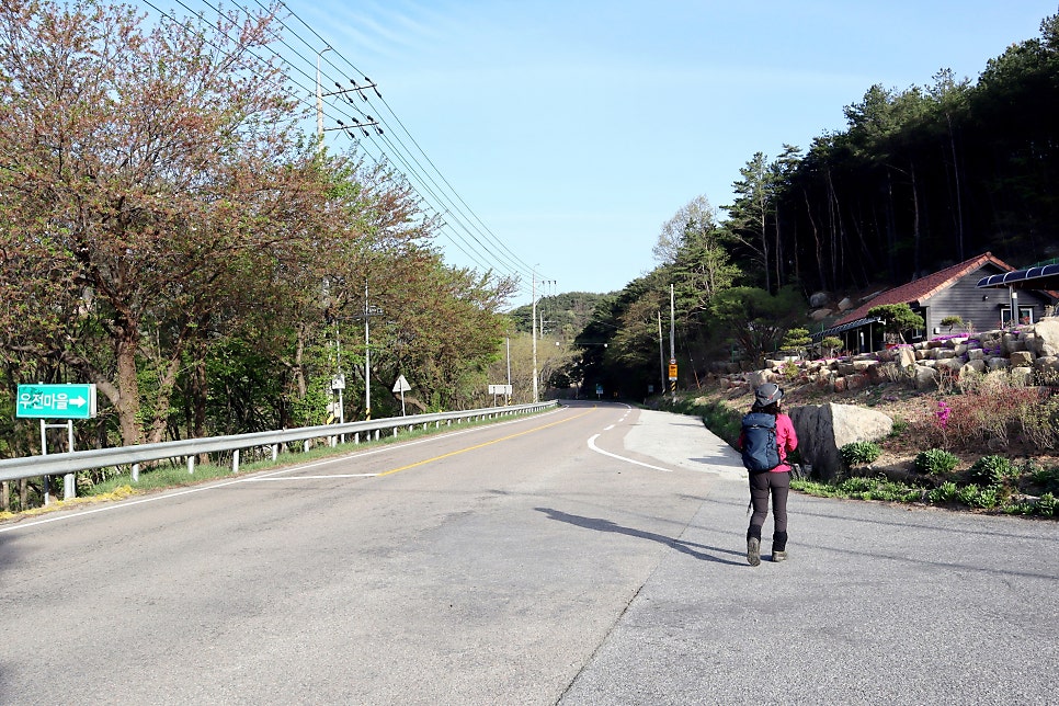 내중산 사진 5