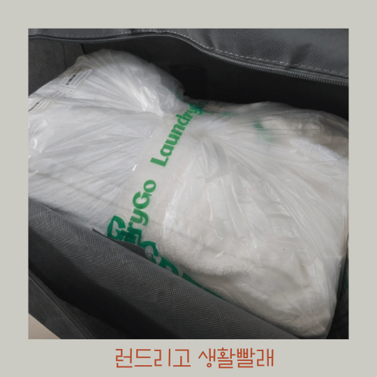  타올 수건 세탁 - 생활빨래 집앞 수거 LaundryGo